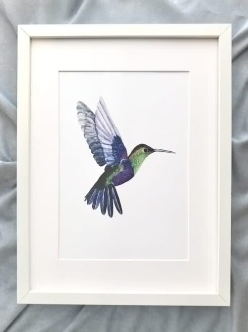 Taideprintti, Kolibri